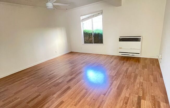 1 bed, 1 bath, $2,600, Unit 3