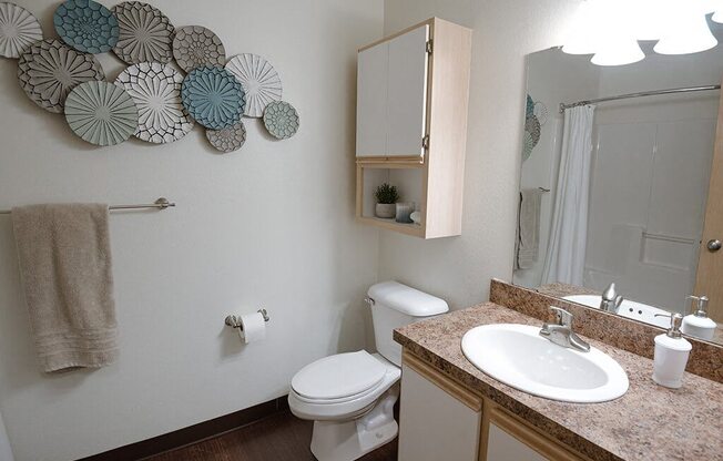 a bathroom with a sink toilet and a mirror