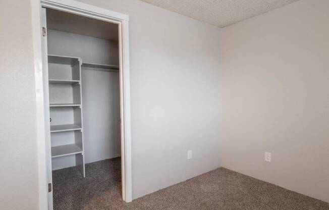 A white door is open to a room with a shelving unit inside.