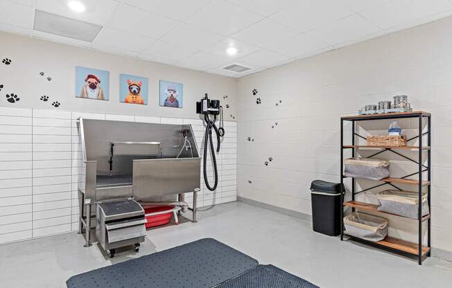 A room with a dog washing station and a shelf with dog beds.