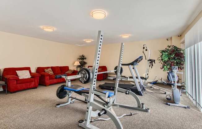 A home gym with a weightlifting bench, a treadmill, and a potted plant.