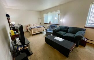 Studio, 1 bath, $895, Unit 102