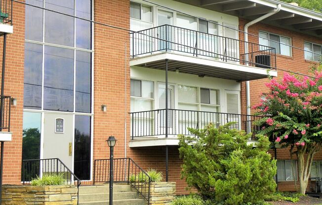 1 bed, 1 bath, 500 sqft, $999