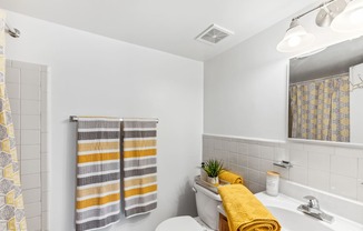 a bathroom with a toilet and a sink and a mirror
