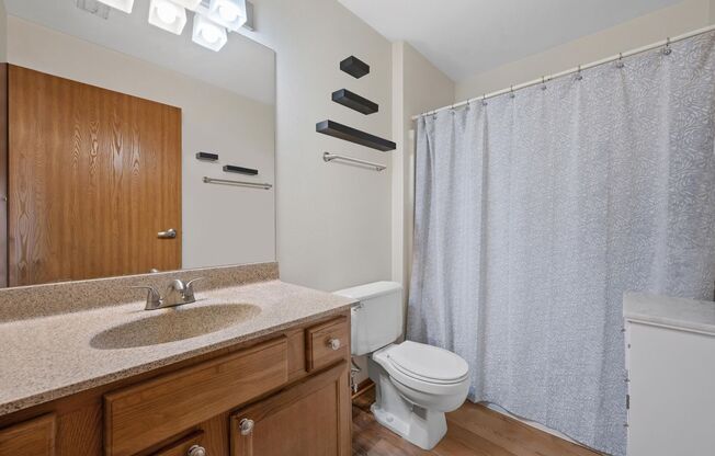 1 bed, 1 bath, 800 sqft, $1,245, Unit 744-13