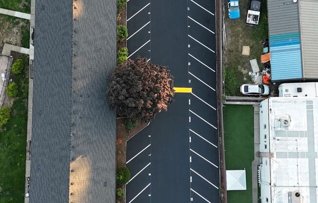 Orchard Park Apartments