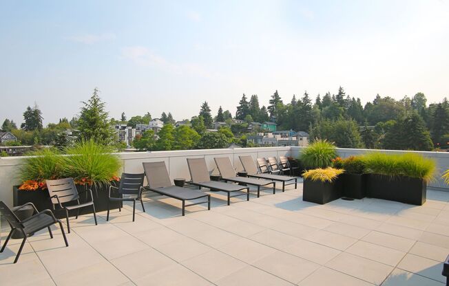 Studio, 1 bath, 308 sqft, $1,650, Unit 109 - Furnished