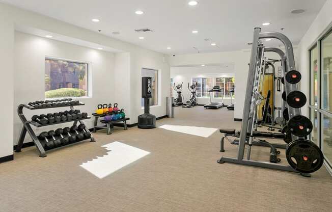 the gym is stocked with weights and cardio equipment