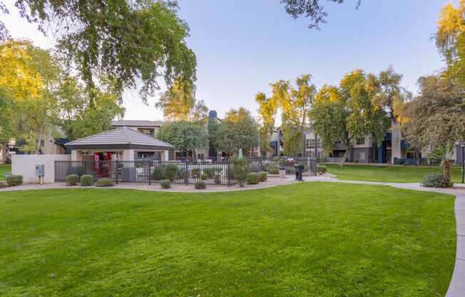 Lush Green Outdoor at Sweetwater At Metro North, Phoenix, Arizona