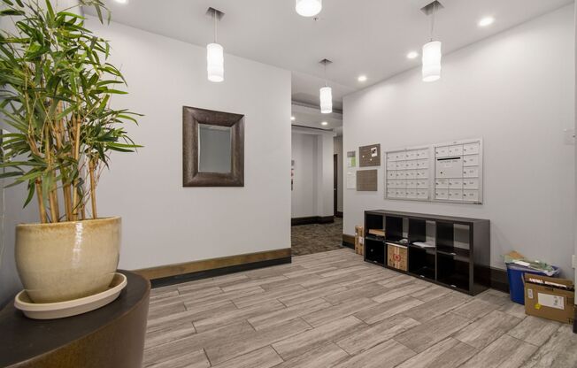 Sleek and Modern One Bedroom in Chinatown- Rooftop