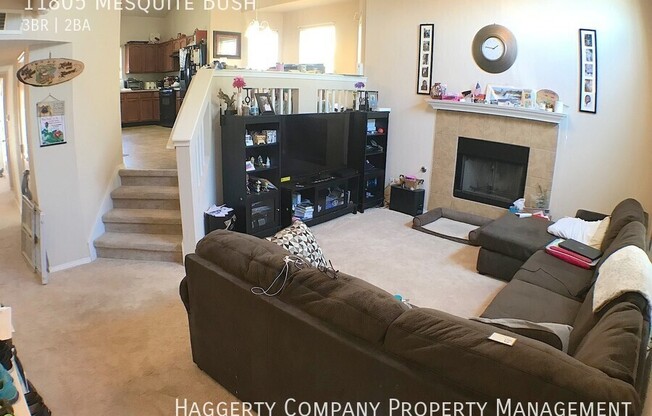 11805 Mesquite Bush