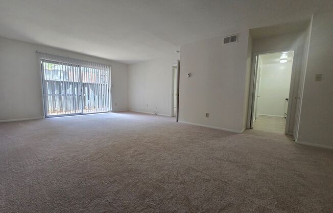 Chateau Montagne Apartments