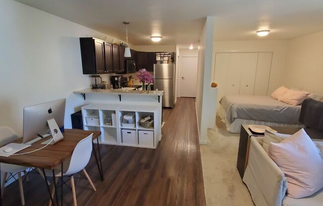 Studio, 1 bath, 703 sqft, $875, Unit Rhett's Row #6