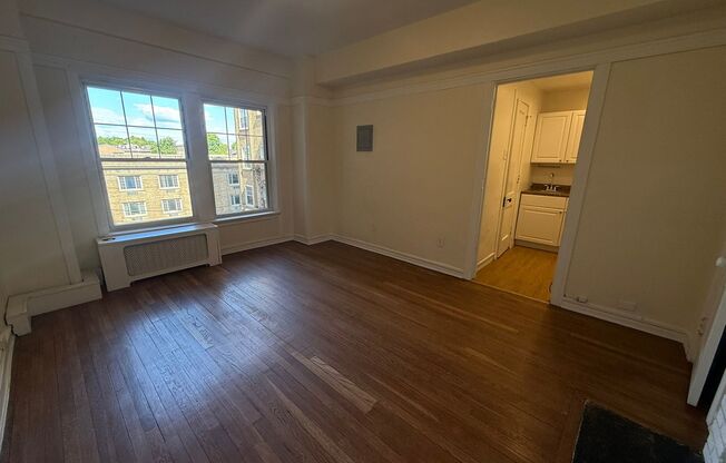Studio, 1 bath, 295 sqft, $835, Unit Old King Edward 351