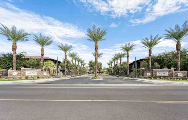 A street view of a residential area with palm trees and a sign that reads  at The Laurel Apartments, Chandler