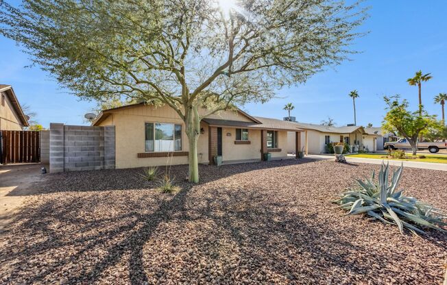 Tempe House for rent!