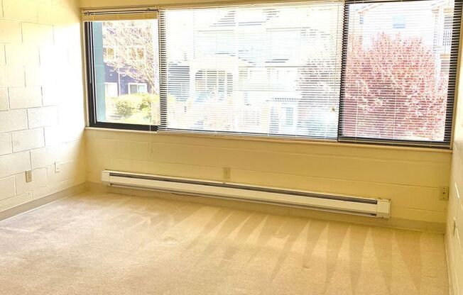 Studio, 1 bath, 302 sqft, $1,100, Unit 104