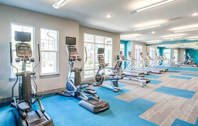 The Lotus at Starkey Ranch apartments in Odessa, FL photo of gym