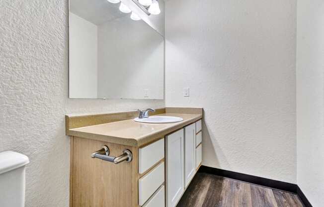 a bathroom with a sink and a mirror