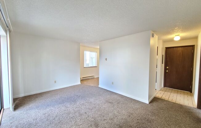 1 bed, 1 bath, 500 sqft, $950, Unit 721 S Lincoln Pl #2