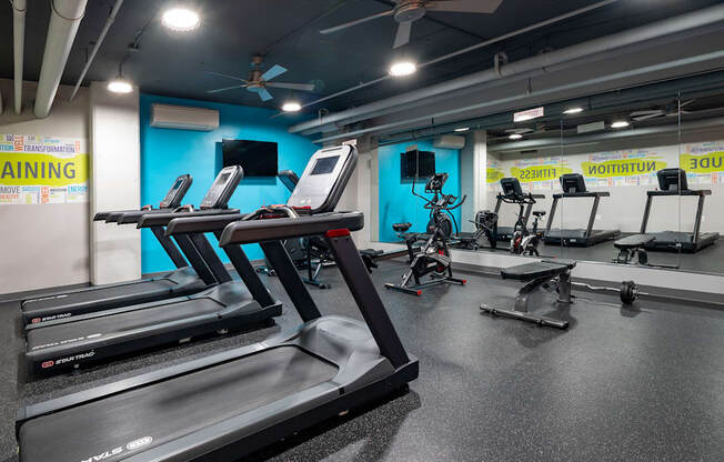 a group of treadmills and other exercise equipment in a gym