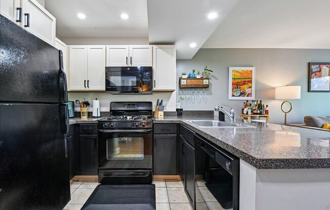 1 bed, 1 bath, $2,100, Unit UNIT #N 604