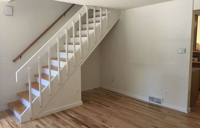 North Old Town Beauty – Updated Interiors & Huge Backyard