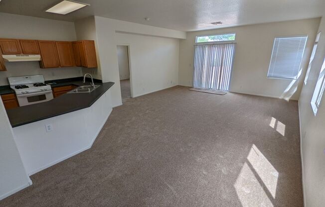 7349 MISTY GLOW CT