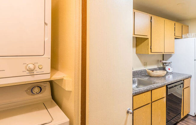 Camino Seco Village apartments with washer and dryer units