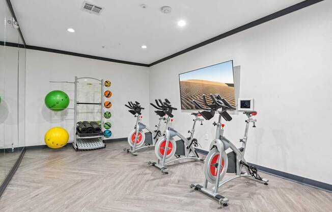 A room with exercise equipment and a TV showing a desert landscape.