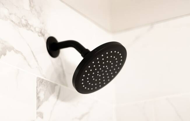 black shower head at Flats of Forestville, Forestville, Maryland 20747