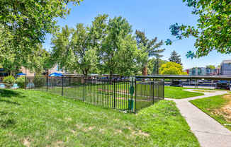 A green grassy area with a fence and trees.