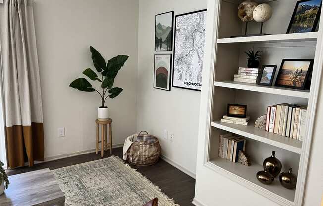 a living room with a bookshelf and a potted plant