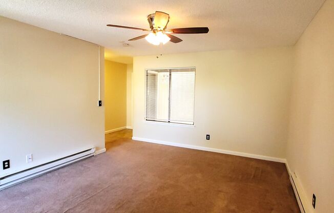 1 bed, 1 bath, $1,200