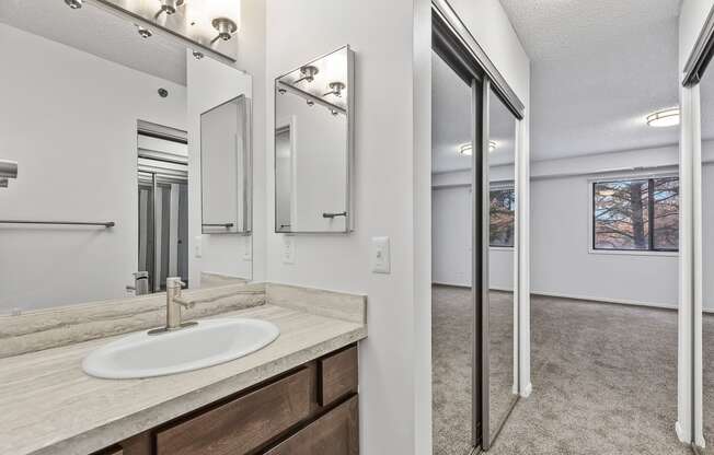 a bathroom with a sink and a mirror