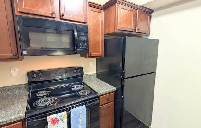 A kitchen with a black stove and black refrigerator.
