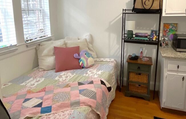 Studio, 1 bath, 500 sqft, $1,295, Unit 873-2