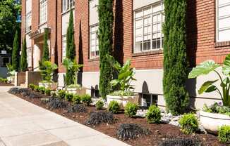 Ongford Apartments artful landscaping