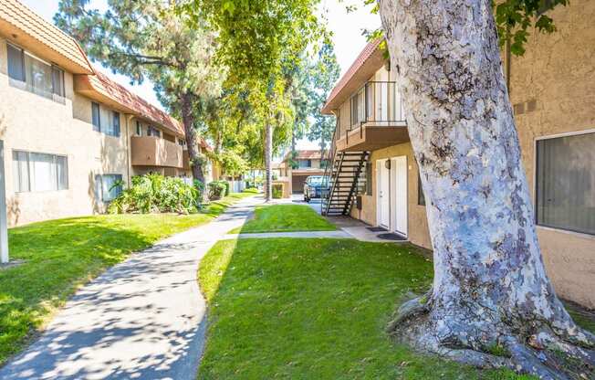 Walking Path area at Canyon Club Apartments, California