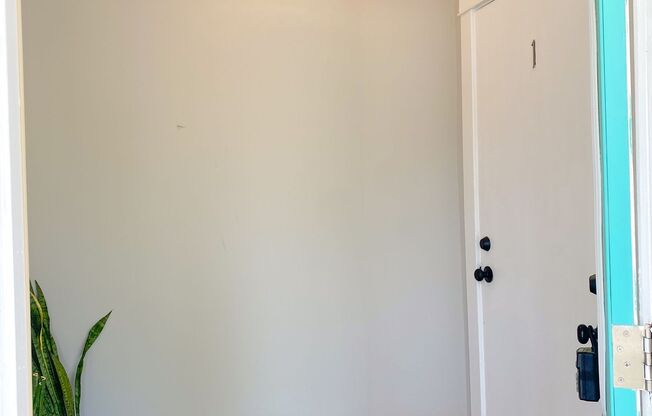 Newly Renovated 1 Bed 1 Bath in Northside