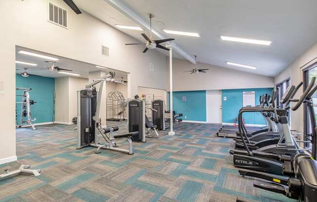 a gym with weights and cardio equipment at the flats