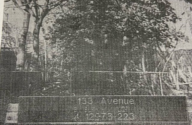 133rd Ave