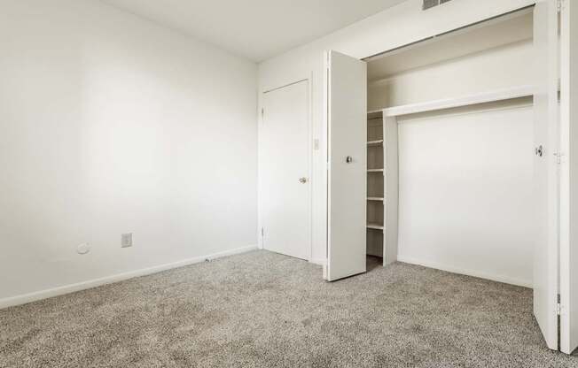 an empty bedroom with a closet and a carpeted floor