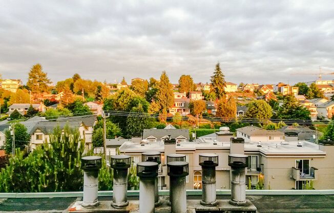 1 bed, 1 bath, 475 sqft, $1,395, Unit 105