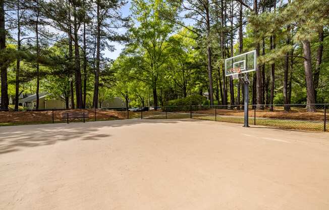 Basketball - Half Court