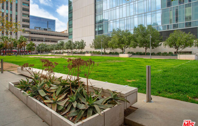 Studio, 1 bath, 760 sqft, $2,250, Unit 714