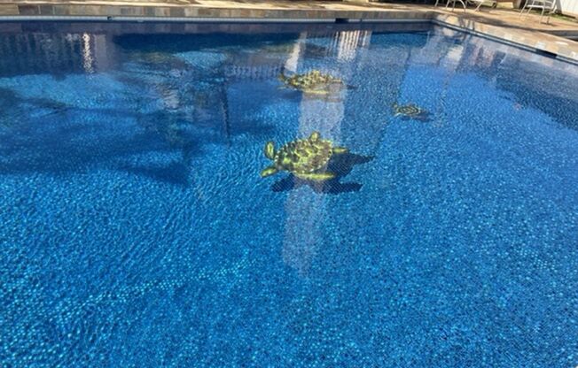 Studio, 1 bath, $2,000, Unit # 3705A