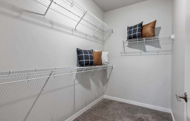 Large Closet Space at Avant at the Arboretum Apartments in Lisle, IL 60532