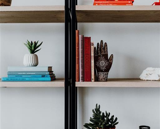 a bookshelf with books and plants on it
