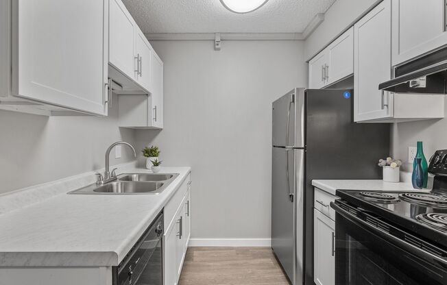 Studio, 1 bath, 484 sqft, $1,185, Unit 331